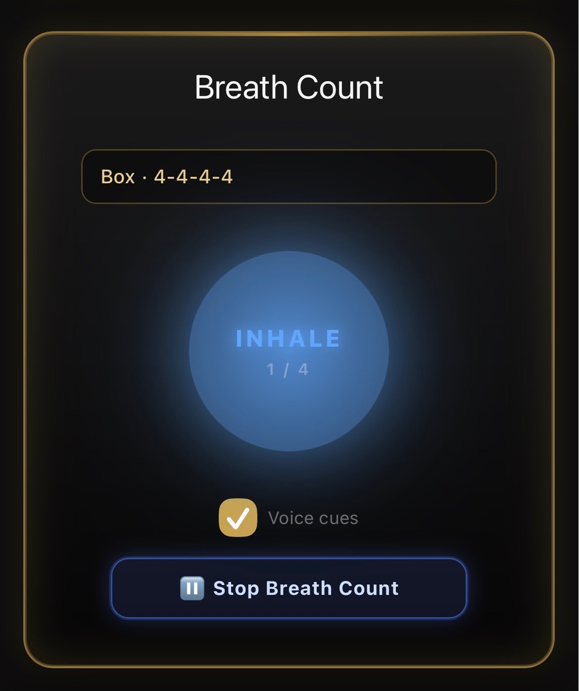 Guided breathwork &mdash; breath count and grounding